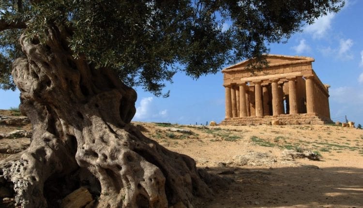 Why visit the Valley of the Temples in Agrigento?
